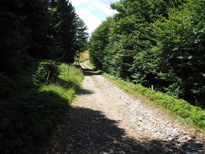 Le Grand Ballon (France)